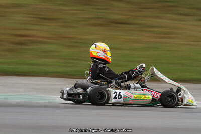 04 & 05/11/2017 : Championnat de France Long Circuit et Trophée Long Circuit TTI Carbone à Pau Arnos (Photos Stéphane Agnus) 2017 — karting