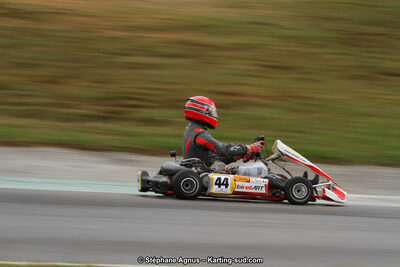 04 & 05/11/2017 : Championnat de France Long Circuit et Trophée Long Circuit TTI Carbone à Pau Arnos (Photos Stéphane Agnus) 2017 — karting