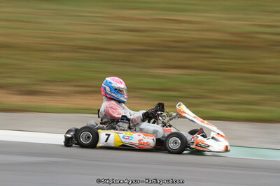 04 & 05/11/2017 : Championnat de France Long Circuit et Trophée Long Circuit TTI Carbone à Pau Arnos (Photos Stéphane Agnus) 2017 — karting