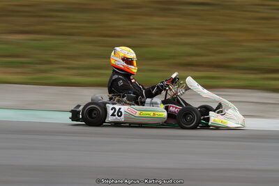04 & 05/11/2017 : Championnat de France Long Circuit et Trophée Long Circuit TTI Carbone à Pau Arnos (Photos Stéphane Agnus) 2017 — karting