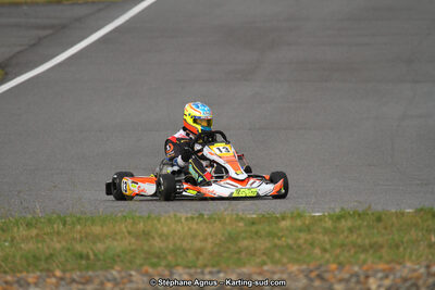 04 & 05/11/2017 : Championnat de France Long Circuit et Trophée Long Circuit TTI Carbone à Pau Arnos (Photos Stéphane Agnus) 2017 — karting