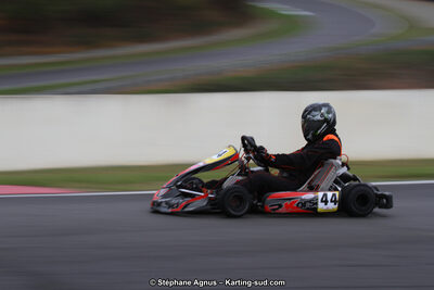 04 & 05/11/2017 : Championnat de France Long Circuit et Trophée Long Circuit TTI Carbone à Pau Arnos (Photos Stéphane Agnus) 2017 — karting