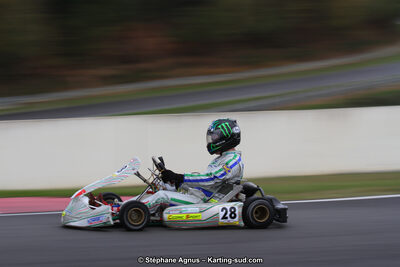 04 & 05/11/2017 : Championnat de France Long Circuit et Trophée Long Circuit TTI Carbone à Pau Arnos (Photos Stéphane Agnus) 2017 — karting