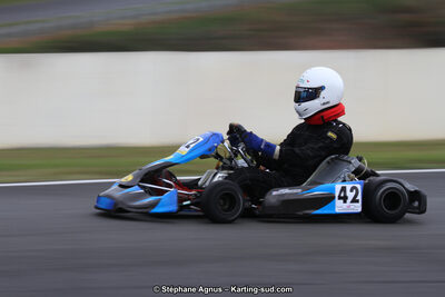 04 & 05/11/2017 : Championnat de France Long Circuit et Trophée Long Circuit TTI Carbone à Pau Arnos (Photos Stéphane Agnus) 2017 — karting