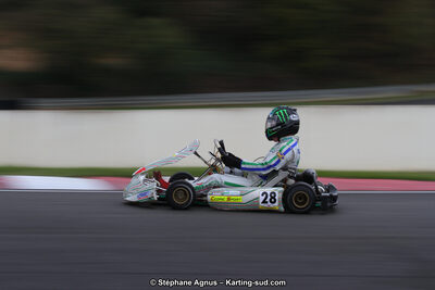04 & 05/11/2017 : Championnat de France Long Circuit et Trophée Long Circuit TTI Carbone à Pau Arnos (Photos Stéphane Agnus) 2017 — karting