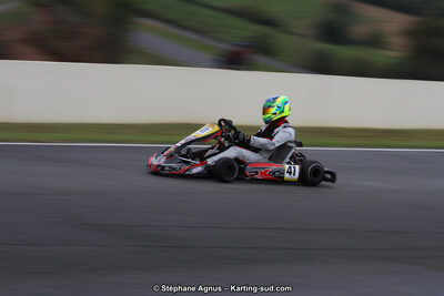 04 & 05/11/2017 : Championnat de France Long Circuit et Trophée Long Circuit TTI Carbone à Pau Arnos (Photos Stéphane Agnus) 2017 — karting