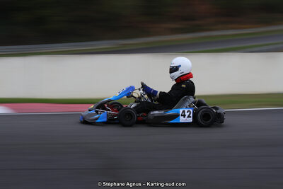 04 & 05/11/2017 : Championnat de France Long Circuit et Trophée Long Circuit TTI Carbone à Pau Arnos (Photos Stéphane Agnus) 2017 — karting