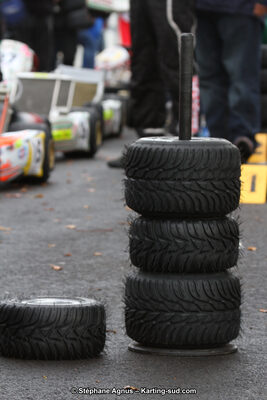 04 & 05/11/2017 : Championnat de France Long Circuit et Trophée Long Circuit TTI Carbone à Pau Arnos (Photos Stéphane Agnus) 2017 — karting
