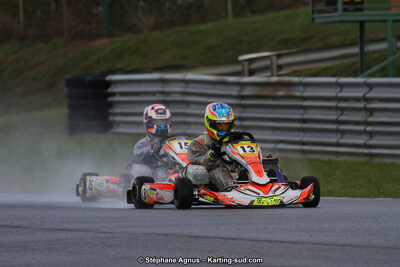 04 & 05/11/2017 : Championnat de France Long Circuit et Trophée Long Circuit TTI Carbone à Pau Arnos (Photos Stéphane Agnus) 2017 — karting
