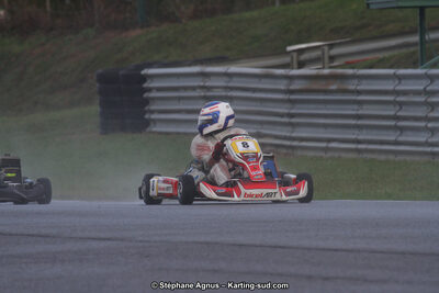 04 & 05/11/2017 : Championnat de France Long Circuit et Trophée Long Circuit TTI Carbone à Pau Arnos (Photos Stéphane Agnus) 2017 — karting
