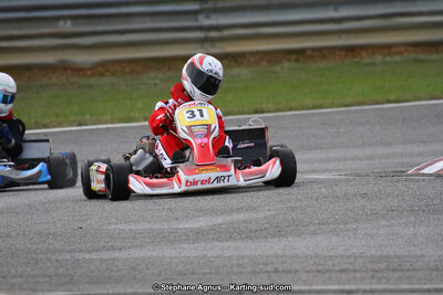 04 & 05/11/2017 : Championnat de France Long Circuit et Trophée Long Circuit TTI Carbone à Pau Arnos (Photos Stéphane Agnus) 2017 — karting