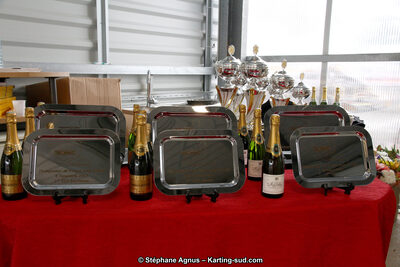 04 & 05/11/2017 : Championnat de France Long Circuit et Trophée Long Circuit TTI Carbone à Pau Arnos (Photos Stéphane Agnus) 2017 — karting