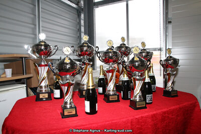 04 & 05/11/2017 : Championnat de France Long Circuit et Trophée Long Circuit TTI Carbone à Pau Arnos (Photos Stéphane Agnus) 2017 — karting