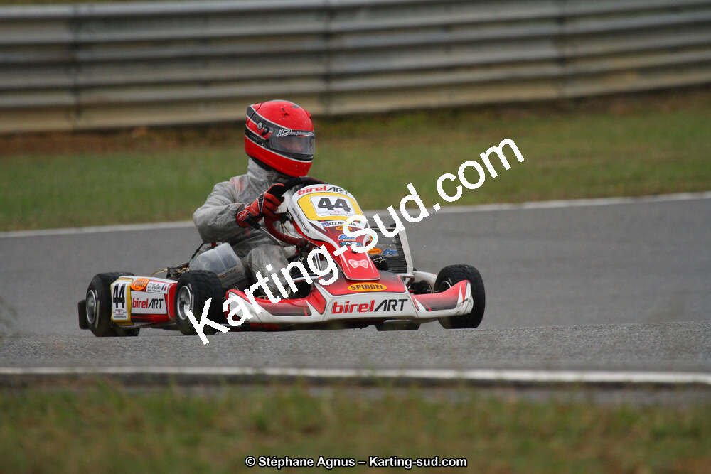 04 & 05/11/2017 : Championnat de France Long Circuit et Trophée Long Circuit TTI Carbone à Pau Arnos (Photos Stéphane Agnus) 2017 — karting