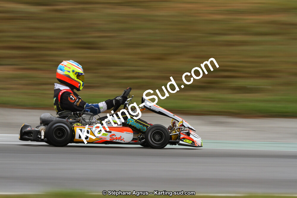 04 & 05/11/2017 : Championnat de France Long Circuit et Trophée Long Circuit TTI Carbone à Pau Arnos (Photos Stéphane Agnus) 2017 — karting