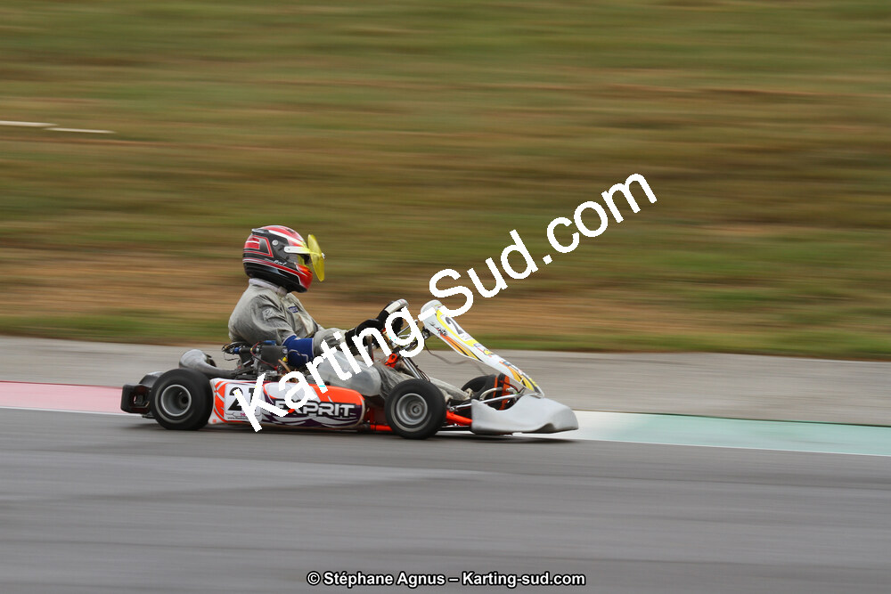 04 & 05/11/2017 : Championnat de France Long Circuit et Trophée Long Circuit TTI Carbone à Pau Arnos (Photos Stéphane Agnus) 2017 — karting
