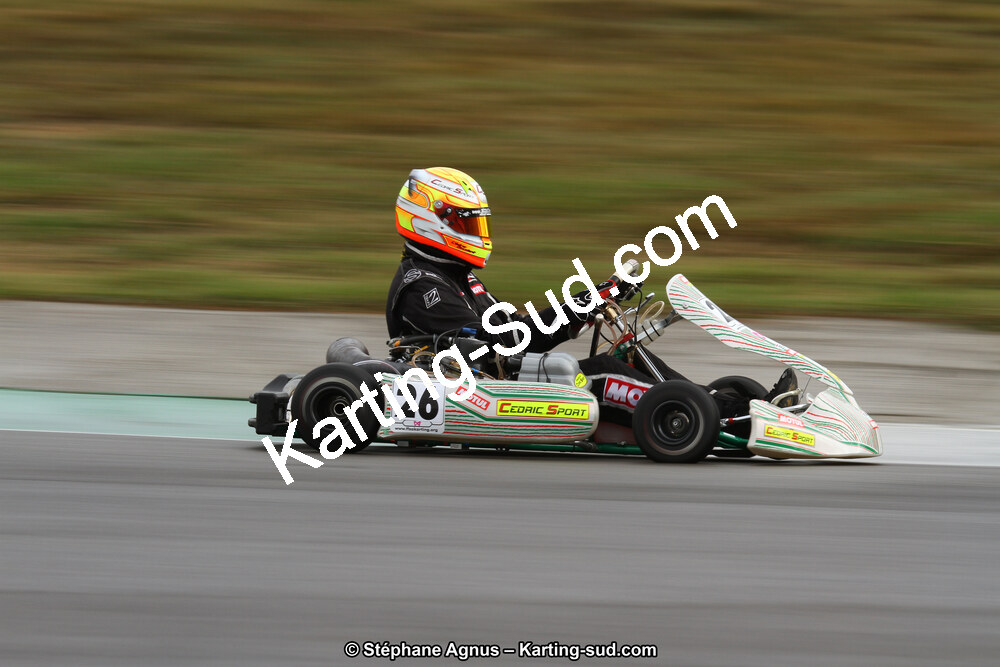 04 & 05/11/2017 : Championnat de France Long Circuit et Trophée Long Circuit TTI Carbone à Pau Arnos (Photos Stéphane Agnus) 2017 — karting