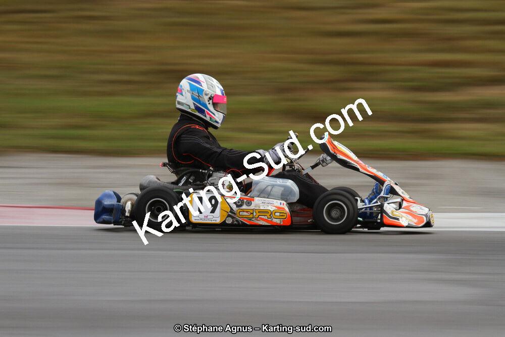 04 & 05/11/2017 : Championnat de France Long Circuit et Trophée Long Circuit TTI Carbone à Pau Arnos (Photos Stéphane Agnus) 2017 — karting