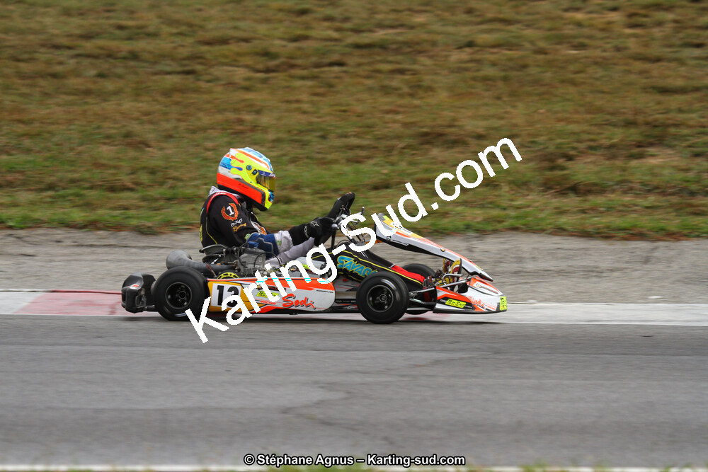 04 & 05/11/2017 : Championnat de France Long Circuit et Trophée Long Circuit TTI Carbone à Pau Arnos (Photos Stéphane Agnus) 2017 — karting