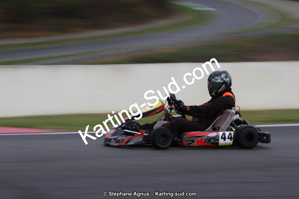 04 & 05/11/2017 : Championnat de France Long Circuit et Trophée Long Circuit TTI Carbone à Pau Arnos (Photos Stéphane Agnus) 2017 — karting