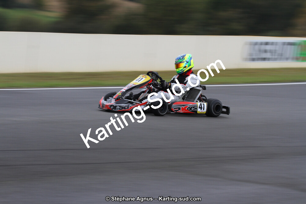 04 & 05/11/2017 : Championnat de France Long Circuit et Trophée Long Circuit TTI Carbone à Pau Arnos (Photos Stéphane Agnus) 2017 — karting