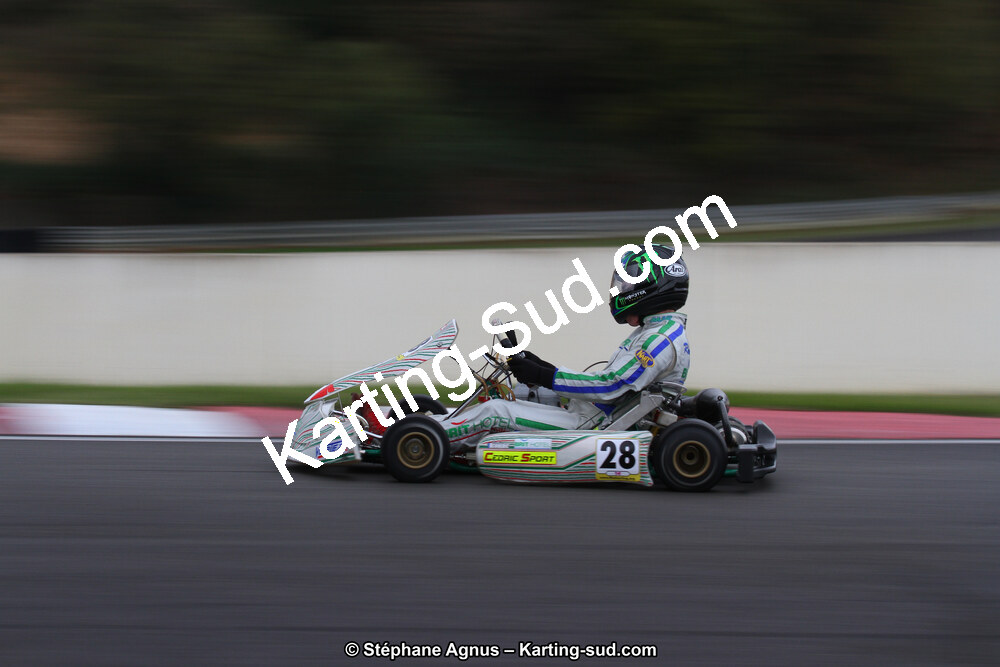04 & 05/11/2017 : Championnat de France Long Circuit et Trophée Long Circuit TTI Carbone à Pau Arnos (Photos Stéphane Agnus) 2017 — karting