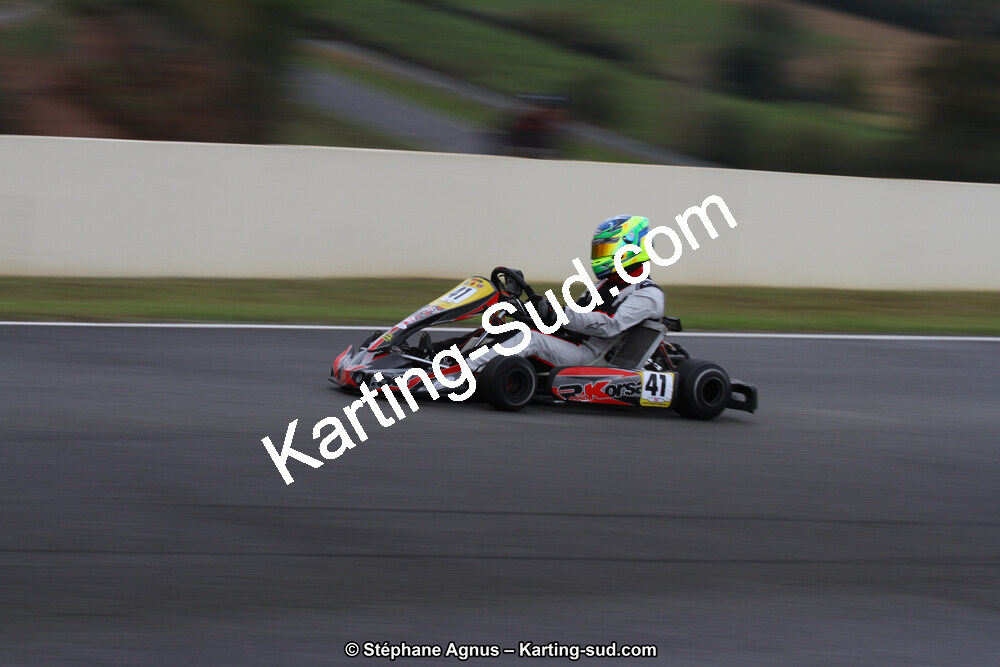 04 & 05/11/2017 : Championnat de France Long Circuit et Trophée Long Circuit TTI Carbone à Pau Arnos (Photos Stéphane Agnus) 2017 — karting