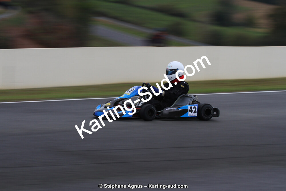 04 & 05/11/2017 : Championnat de France Long Circuit et Trophée Long Circuit TTI Carbone à Pau Arnos (Photos Stéphane Agnus) 2017 — karting