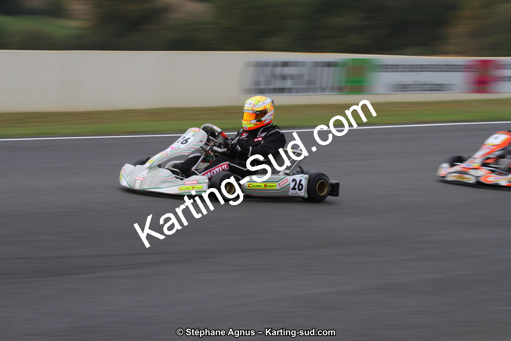 04 & 05/11/2017 : Championnat de France Long Circuit et Trophée Long Circuit TTI Carbone à Pau Arnos (Photos Stéphane Agnus) 2017 — karting