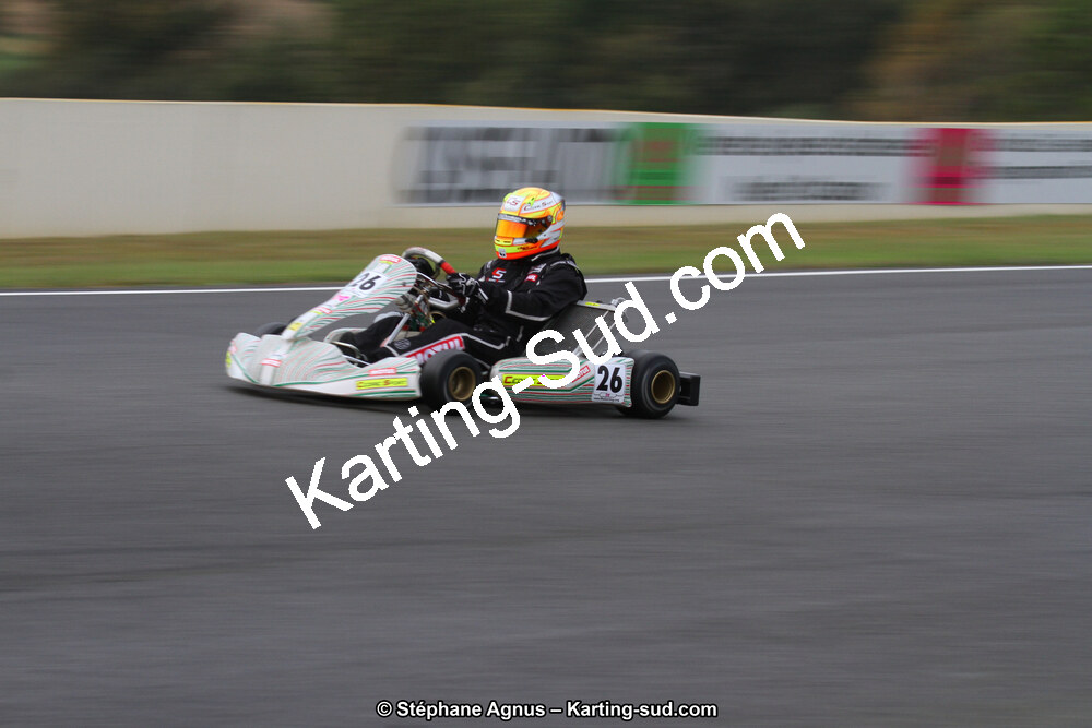 04 & 05/11/2017 : Championnat de France Long Circuit et Trophée Long Circuit TTI Carbone à Pau Arnos (Photos Stéphane Agnus) 2017 — karting