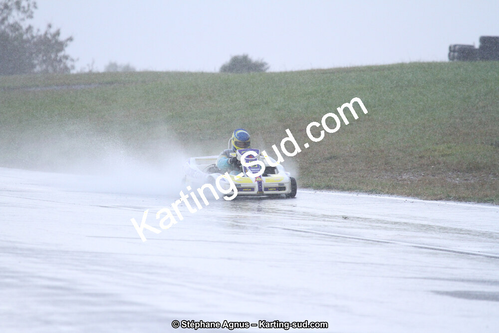 04 & 05/11/2017 : Championnat de France Long Circuit et Trophée Long Circuit TTI Carbone à Pau Arnos (Photos Stéphane Agnus) 2017 — karting