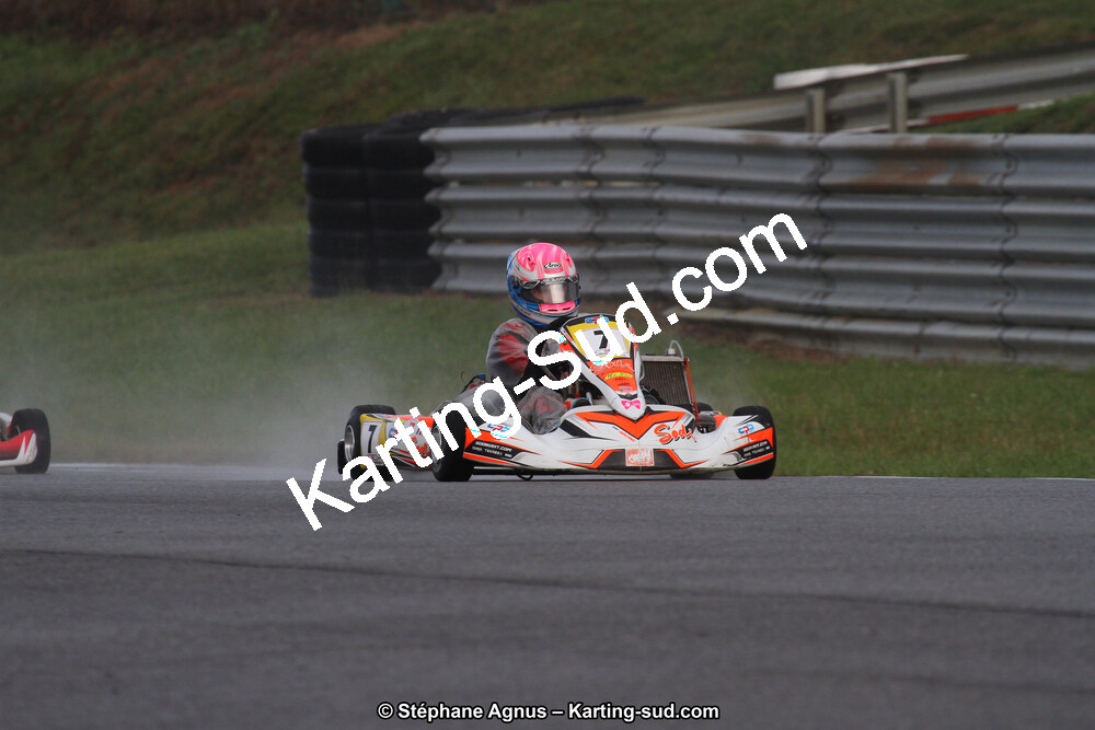 04 & 05/11/2017 : Championnat de France Long Circuit et Trophée Long Circuit TTI Carbone à Pau Arnos (Photos Stéphane Agnus) 2017 — karting