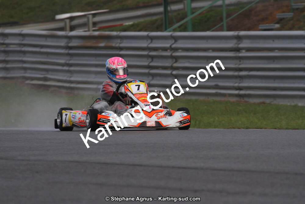 04 & 05/11/2017 : Championnat de France Long Circuit et Trophée Long Circuit TTI Carbone à Pau Arnos (Photos Stéphane Agnus) 2017 — karting