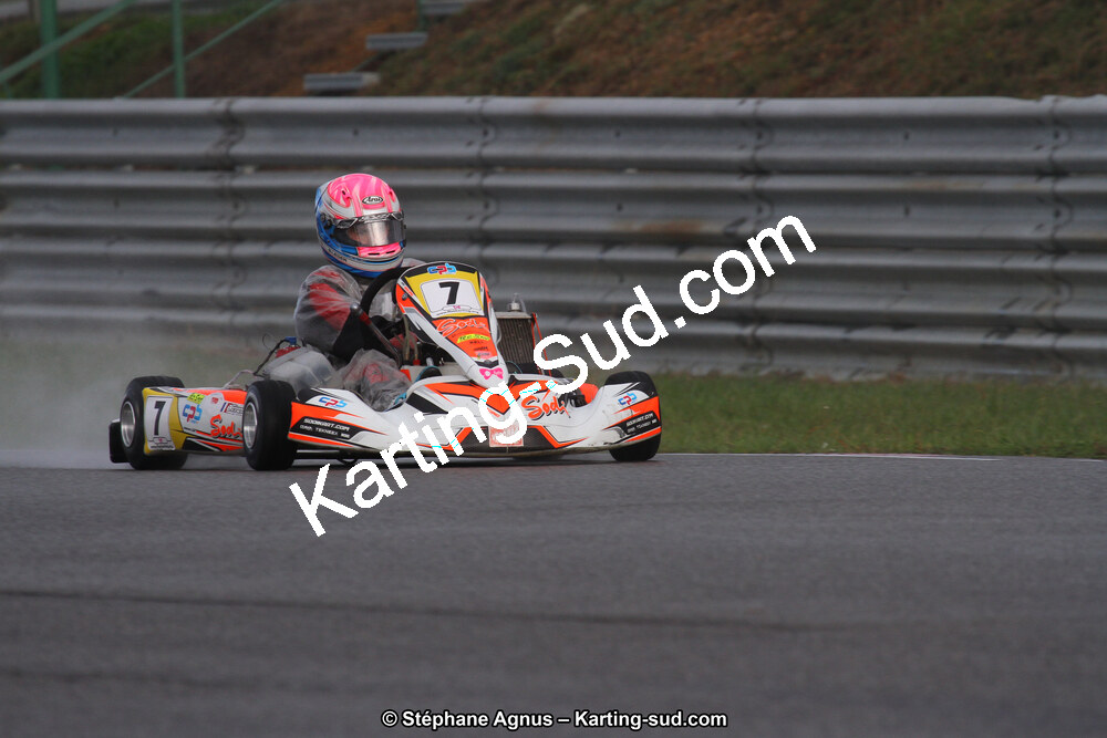 04 & 05/11/2017 : Championnat de France Long Circuit et Trophée Long Circuit TTI Carbone à Pau Arnos (Photos Stéphane Agnus) 2017 — karting