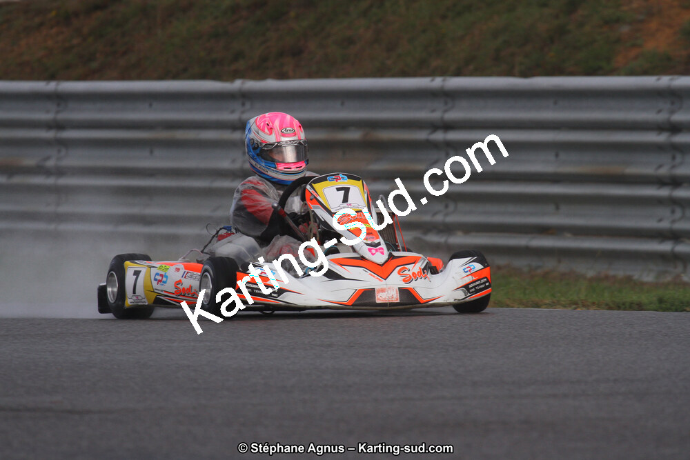 04 & 05/11/2017 : Championnat de France Long Circuit et Trophée Long Circuit TTI Carbone à Pau Arnos (Photos Stéphane Agnus) 2017 — karting
