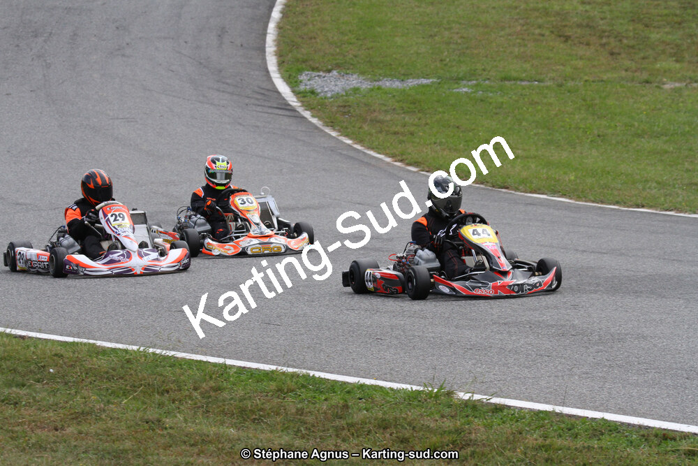 IMG_9478.JPG