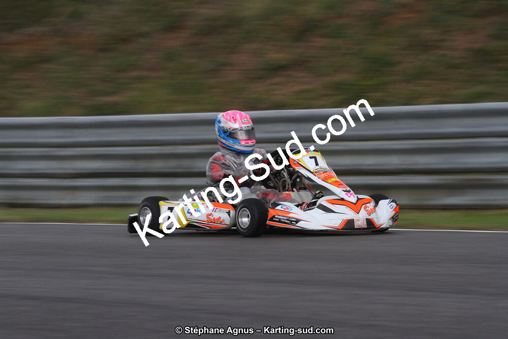 04 & 05/11/2017 : Championnat de France Long Circuit et Trophée Long Circuit TTI Carbone à Pau Arnos (Photos Stéphane Agnus) 2017 — karting