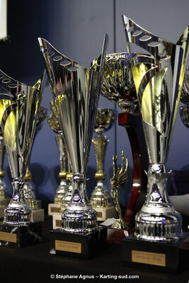 20/01/2018 : Remise des Prix 2017 Automobile et Karting Aquitaine à Agen (Photos Stéphane Agnus) 2018 — karting