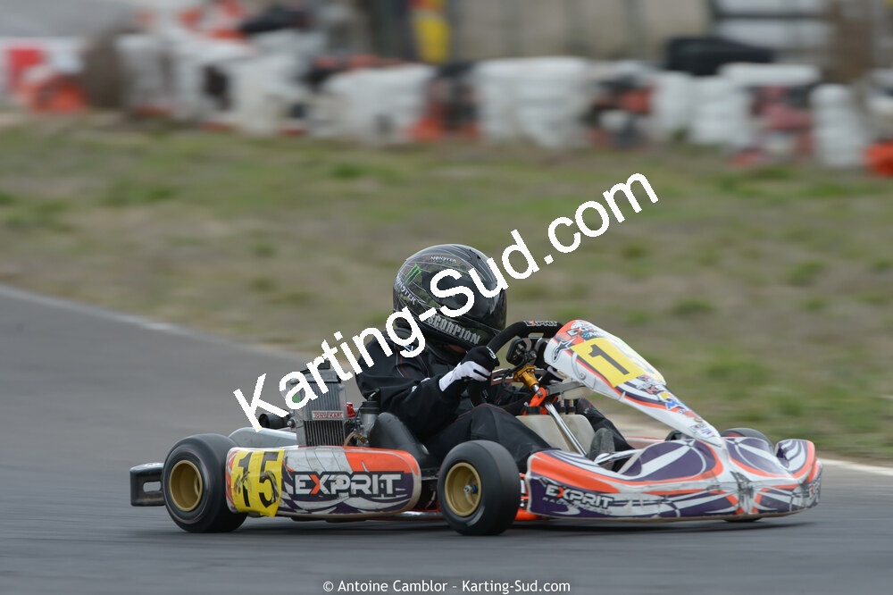 DSC_3101_DxO.jpg