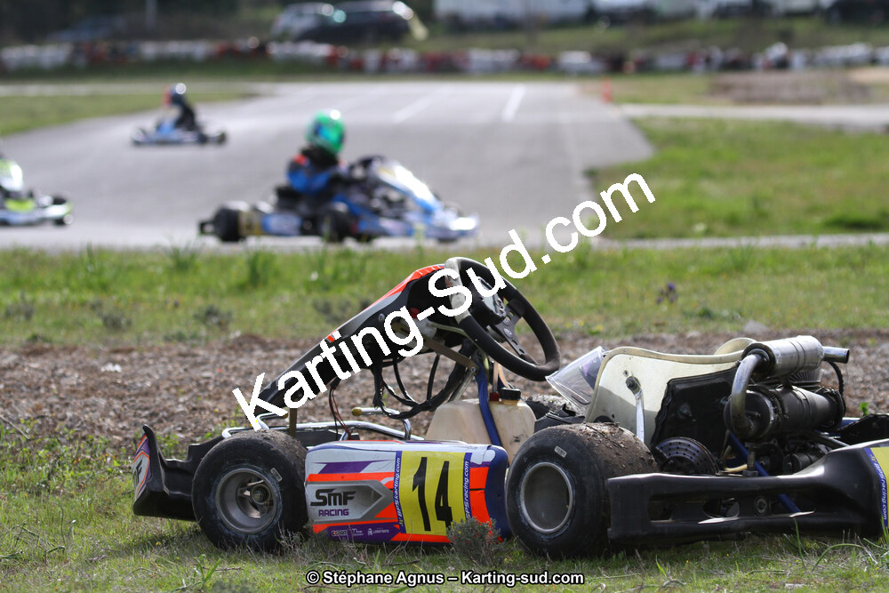 IMG_6153.jpg