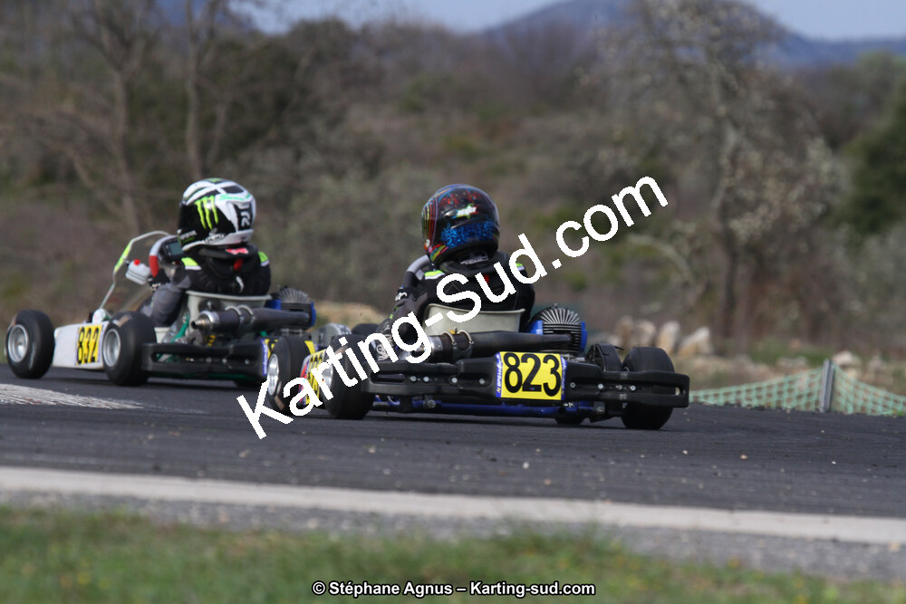 IMG_6531.jpg