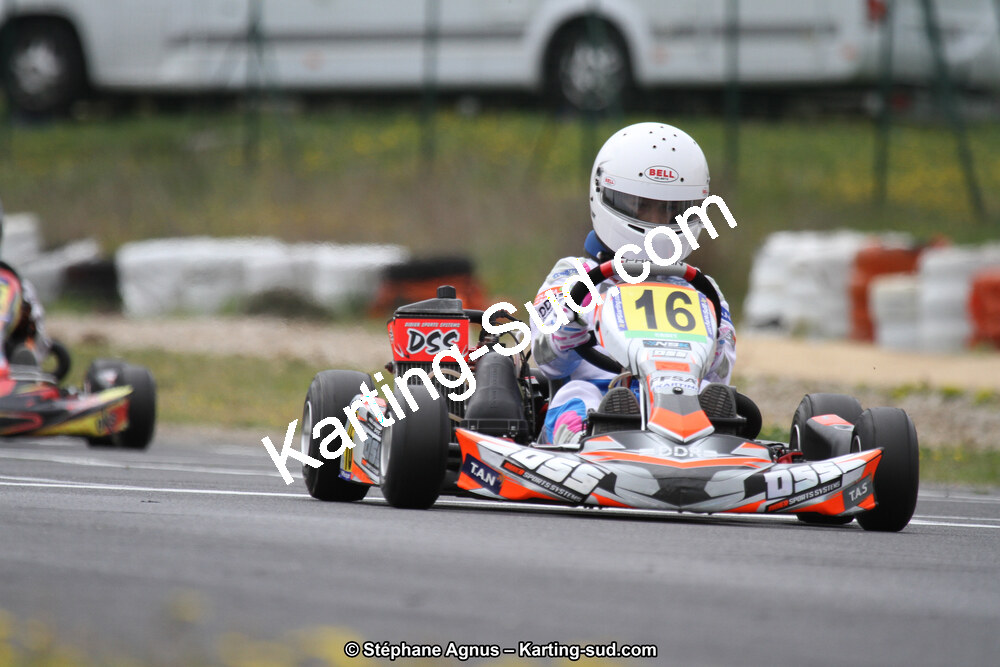 IMG_8513.jpg