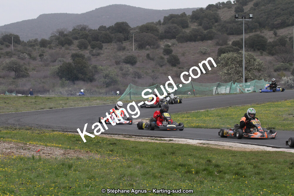 IMG_8638.jpg