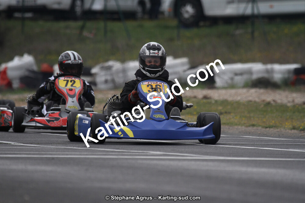 IMG_8659.jpg