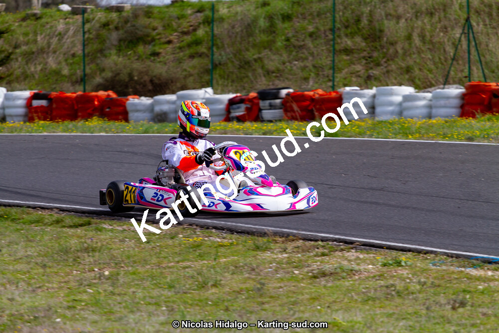 IMG_8169.jpg