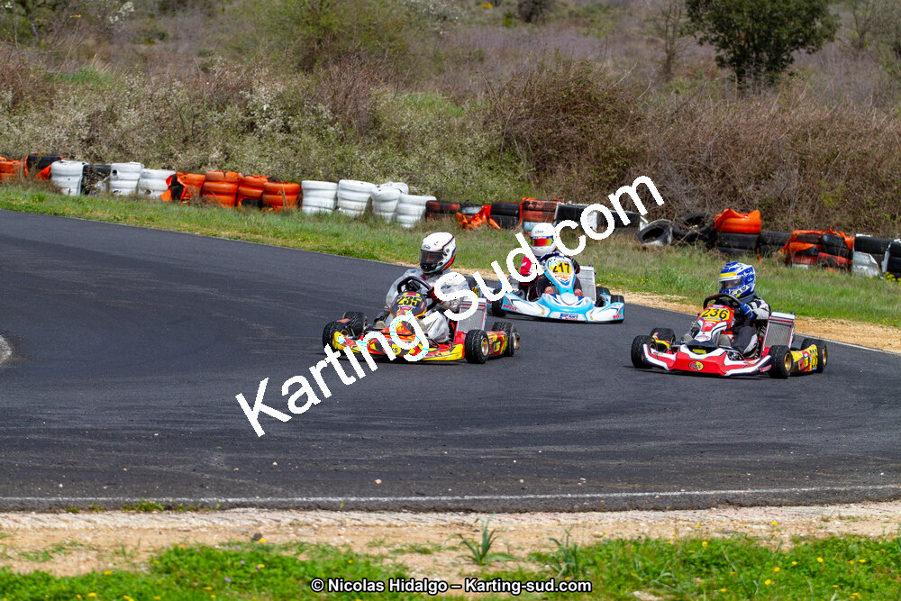 IMG_8684.jpg