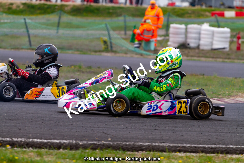 IMG_8865.jpg