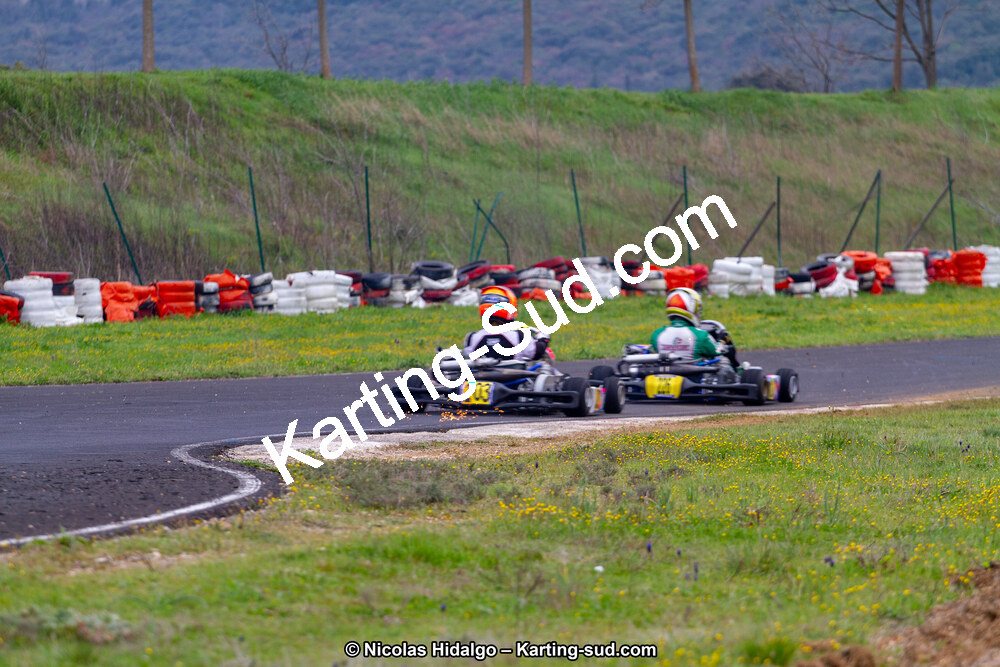 IMG_9535.jpg