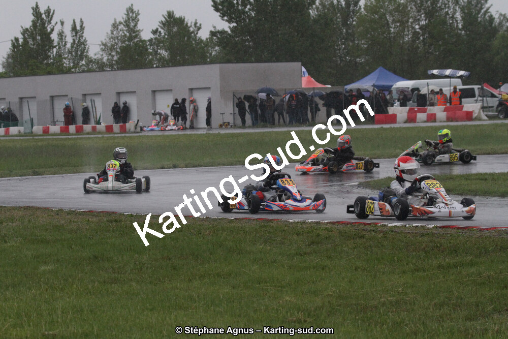 IMG_2417.jpg