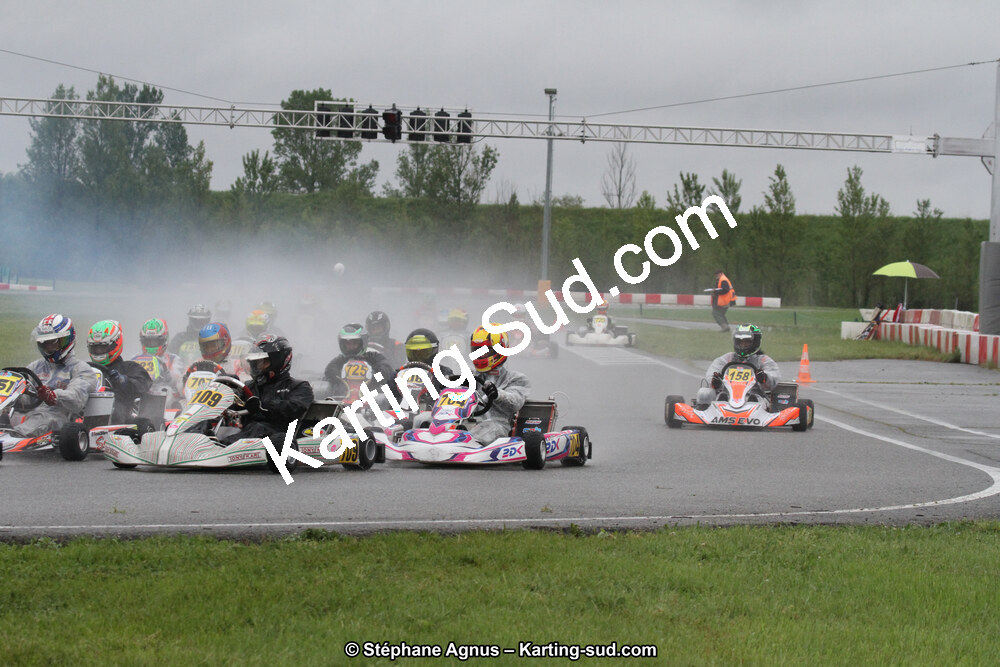 IMG_2894.jpg